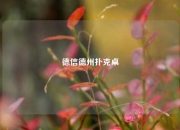德信德州扑克桌
