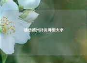 德信德州扑克牌型大小