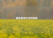 德信德州扑克的规则
