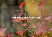 博雅德信德州扑克作弊软件