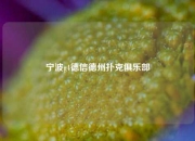 宁波g4德信德州扑克俱乐部