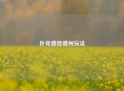 扑克德信德州玩法