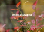 德信德州扑克软件开挂