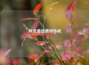 网页德信德州扑克