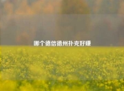 哪个德信德州扑克好赚