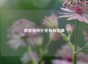 德信德州扑克有同花嘛