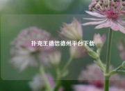 扑克王德信德州平台下载