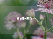 德信德州扑克 chen