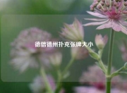 德信德州扑克张牌大小