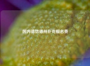 国内德信德州扑克报名费