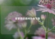 皇家德信德州扑克下载