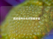 德信德州扑克攻略新手篇