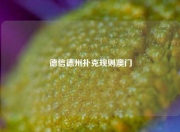 德信德州扑克规则澳门