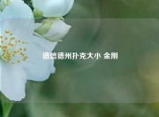 德信德州扑克大小 金刚