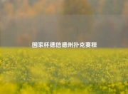 国家杯德信德州扑克赛程
