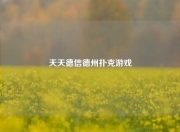 天天德信德州扑克游戏