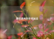 德信德州扑扑克玩法