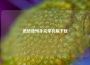 德信德州扑克单机版下载