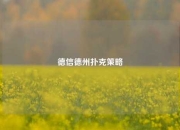 德信德州扑克策略