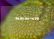 博雅德信德州扑克下载