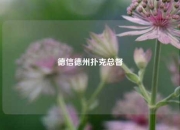 德信德州扑克总督
