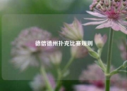 德信德州扑克比赛规则