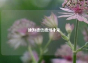 途游德信德州扑克