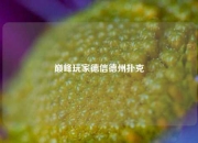 巅峰玩家德信德州扑克