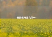 德信德州扑克第一
