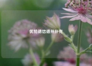 优酷德信德州扑克