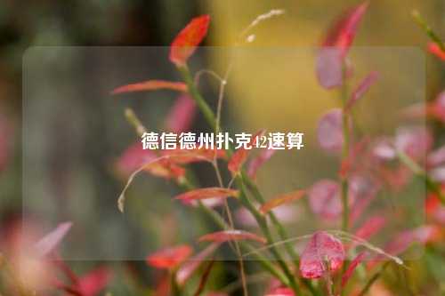 德信德州扑克42速算