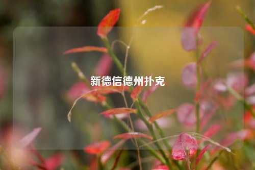 新德信德州扑克