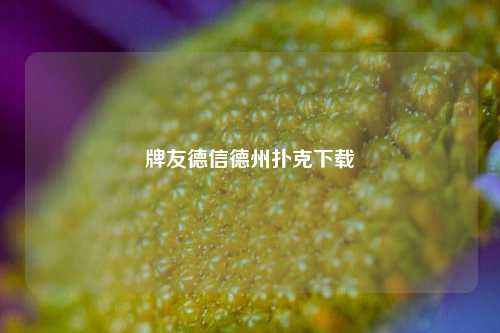 牌友德信德州扑克下载