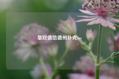 皇冠德信德州扑克ios