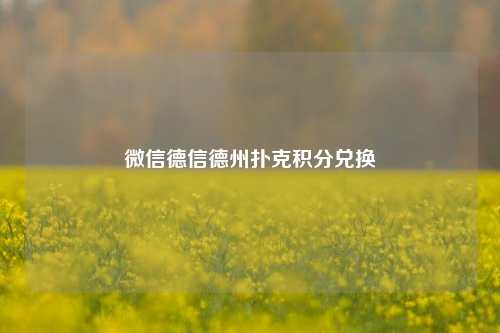 微信德信德州扑克积分兑换
