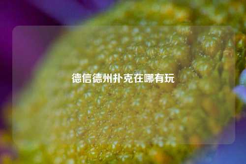 德信德州扑克在哪有玩