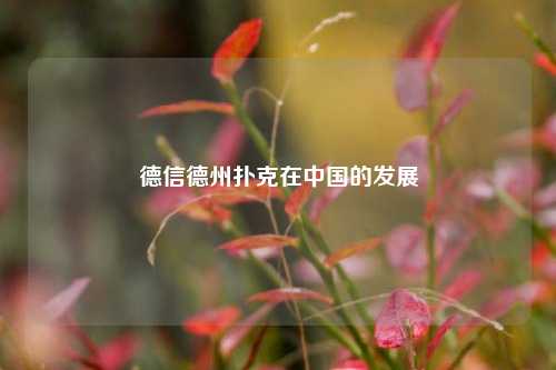 德信德州扑克在中国的发展