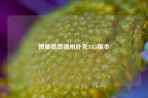 博雅德信德州扑克5.3.5版本
