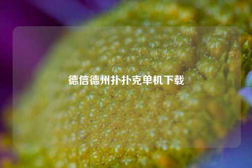 德信德州扑扑克单机下载