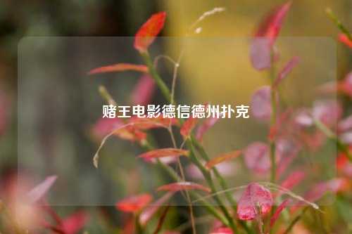 赌王电影德信德州扑克