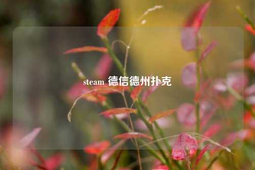 steam 德信德州扑克