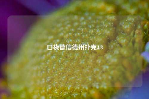 口袋德信德州扑克3.8