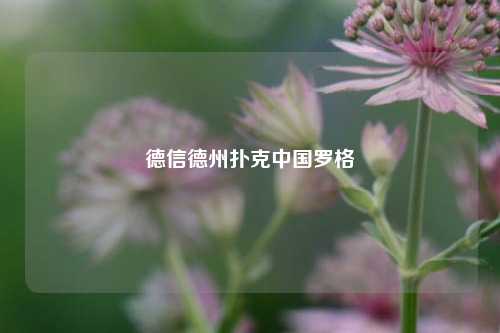 德信德州扑克中国罗格