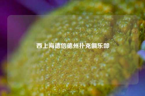 西上海德信德州扑克俱乐部