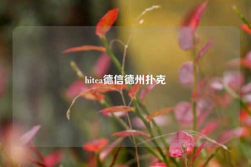hitea德信德州扑克