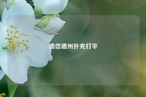 德信德州扑克打平
