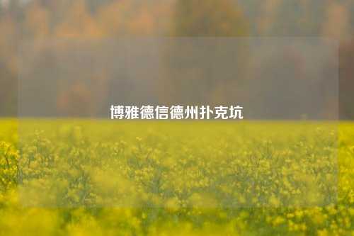 博雅德信德州扑克坑