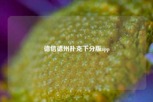 德信德州扑克下分版app