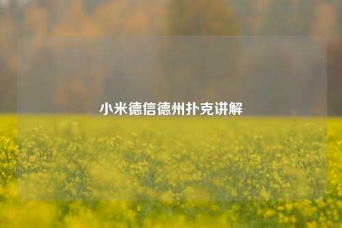 小米德信德州扑克讲解